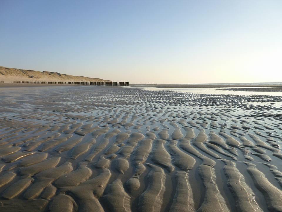 Apartment La Casa Aan Zee *